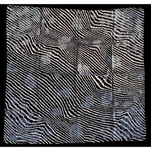 NWOT Fab! Bottega Veneta Animal Print Silk Scarf Authentic!